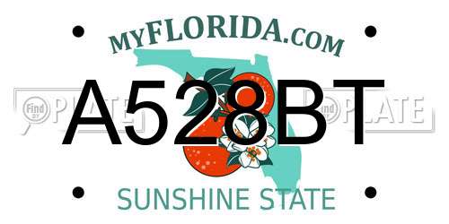 A528BT Florida License Plate