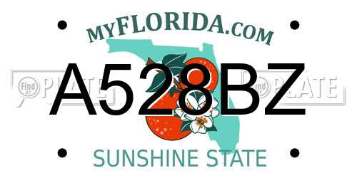 A528BZ Florida License Plate
