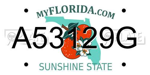 A53129G Florida License Plate