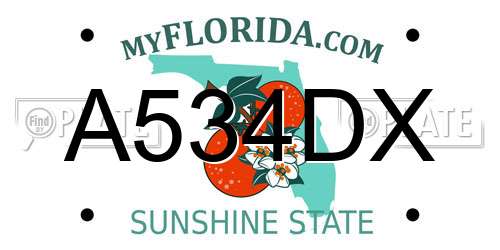 A534DX Florida License Plate