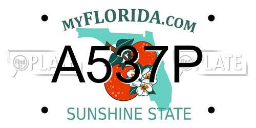 A537P Florida License Plate