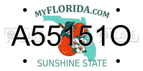 A55151O Florida License Plate