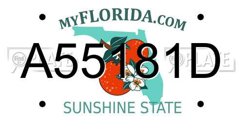 A55181D Florida License Plate