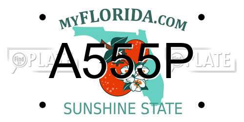 A555P Florida License Plate