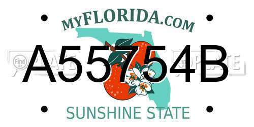 A55754B Florida License Plate