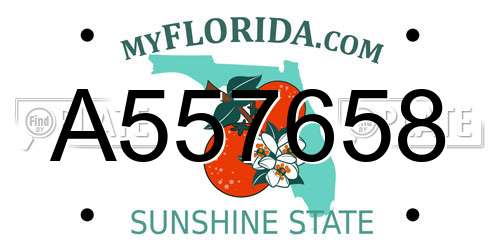 A557658 Florida License Plate