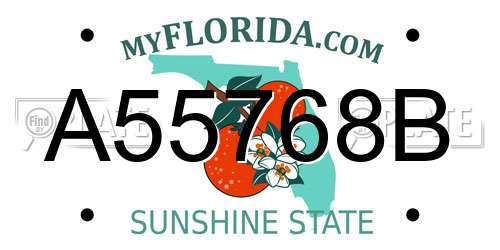 A55768B Florida License Plate