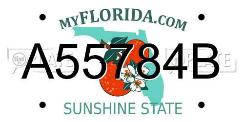 A55784B Florida License Plate