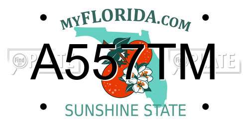 A557TM Florida License Plate