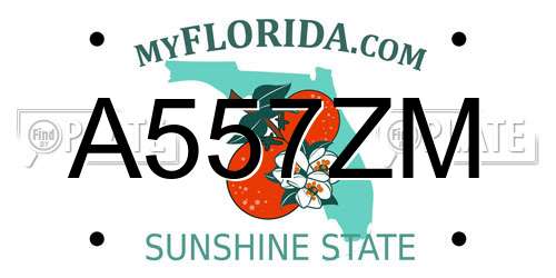 A557ZM Florida License Plate