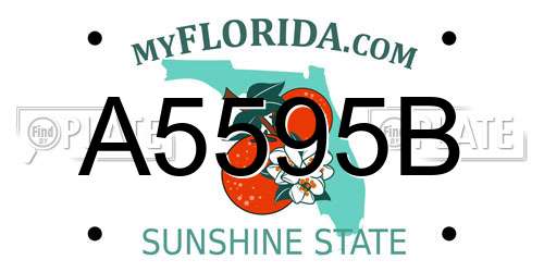 A5595B Florida License Plate