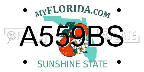 A559BS Florida License Plate