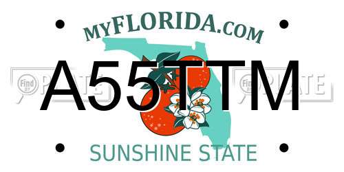 A55TTM Florida License Plate