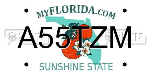 A55TZM Florida License Plate