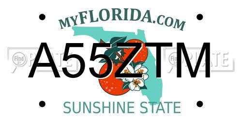 A55ZTM Florida License Plate