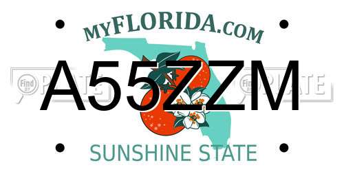 A55ZZM Florida License Plate