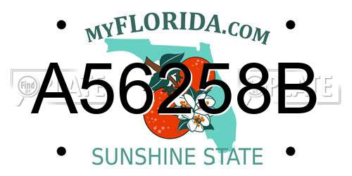 A56258B Florida License Plate