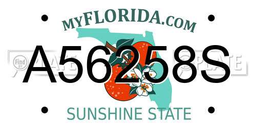 A56258S Florida License Plate