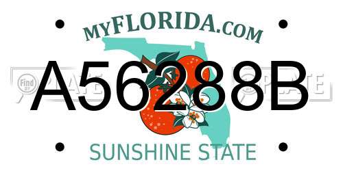 A56288B Florida License Plate