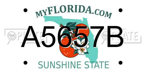 A5657B Florida License Plate
