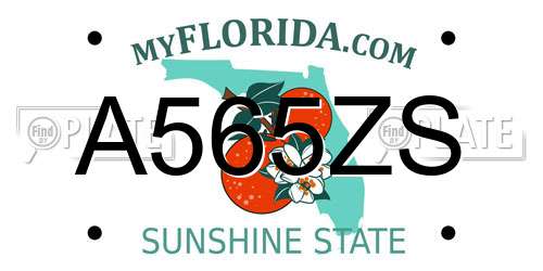 A565ZS Florida License Plate
