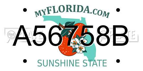 A56758B Florida License Plate