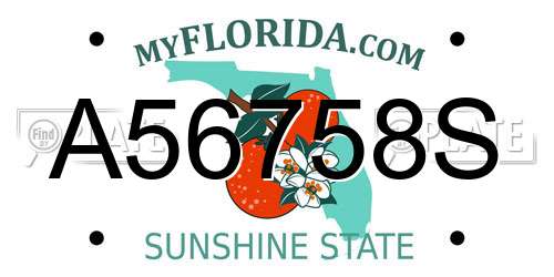 A56758S Florida License Plate