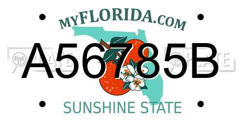 A56785B Florida License Plate