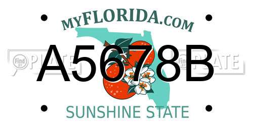 A5678B Florida License Plate
