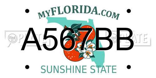 A567BB Florida License Plate
