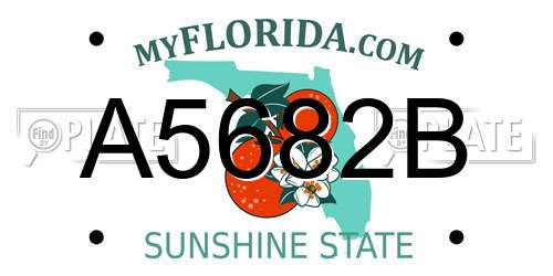 A5682B Florida License Plate
