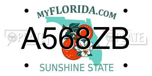 A568ZB Florida License Plate