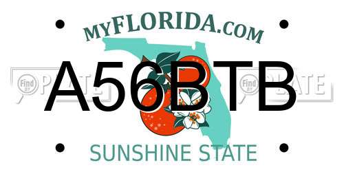 A56BTB Florida License Plate