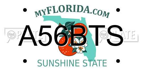 A56BTS Florida License Plate