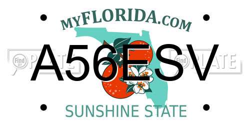 A56ESV Florida License Plate