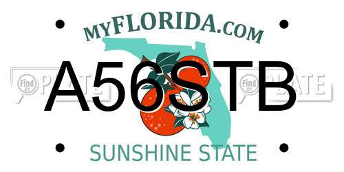 A56STB Florida License Plate