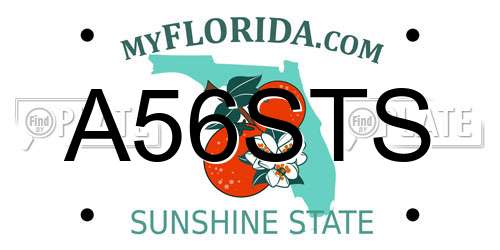 A56STS Florida License Plate