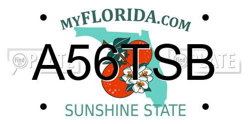 A56TSB Florida License Plate