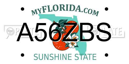 A56ZBS Florida License Plate