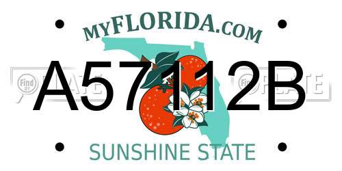 A57112B Florida License Plate