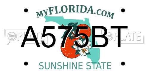 A575BT Florida License Plate