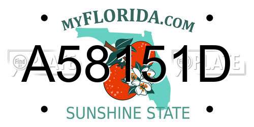 A58151D Florida License Plate