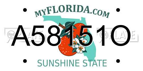 A58151O Florida License Plate