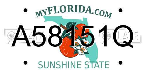 A58151Q Florida License Plate