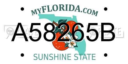 A58265B Florida License Plate