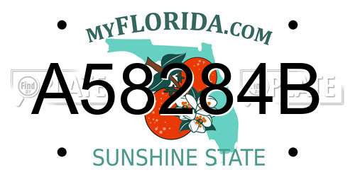 A58284B Florida License Plate