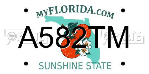 A582TM Florida License Plate