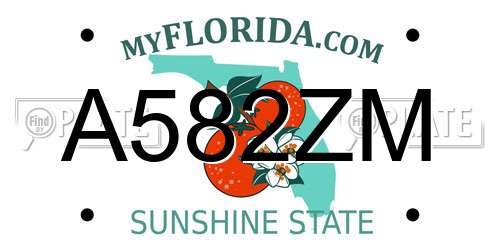 A582ZM Florida License Plate