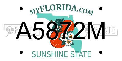 A5872M Florida License Plate