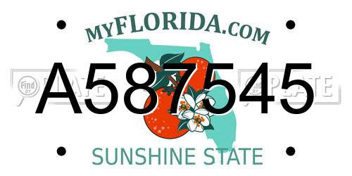A587545 Florida License Plate